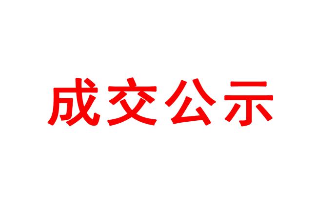洛陽(yáng)軸承研究所有限公司伊濱區(qū)配件中心廠(chǎng)房和4#廠(chǎng)房起重機(jī)項(xiàng)目成交結(jié)果公告
